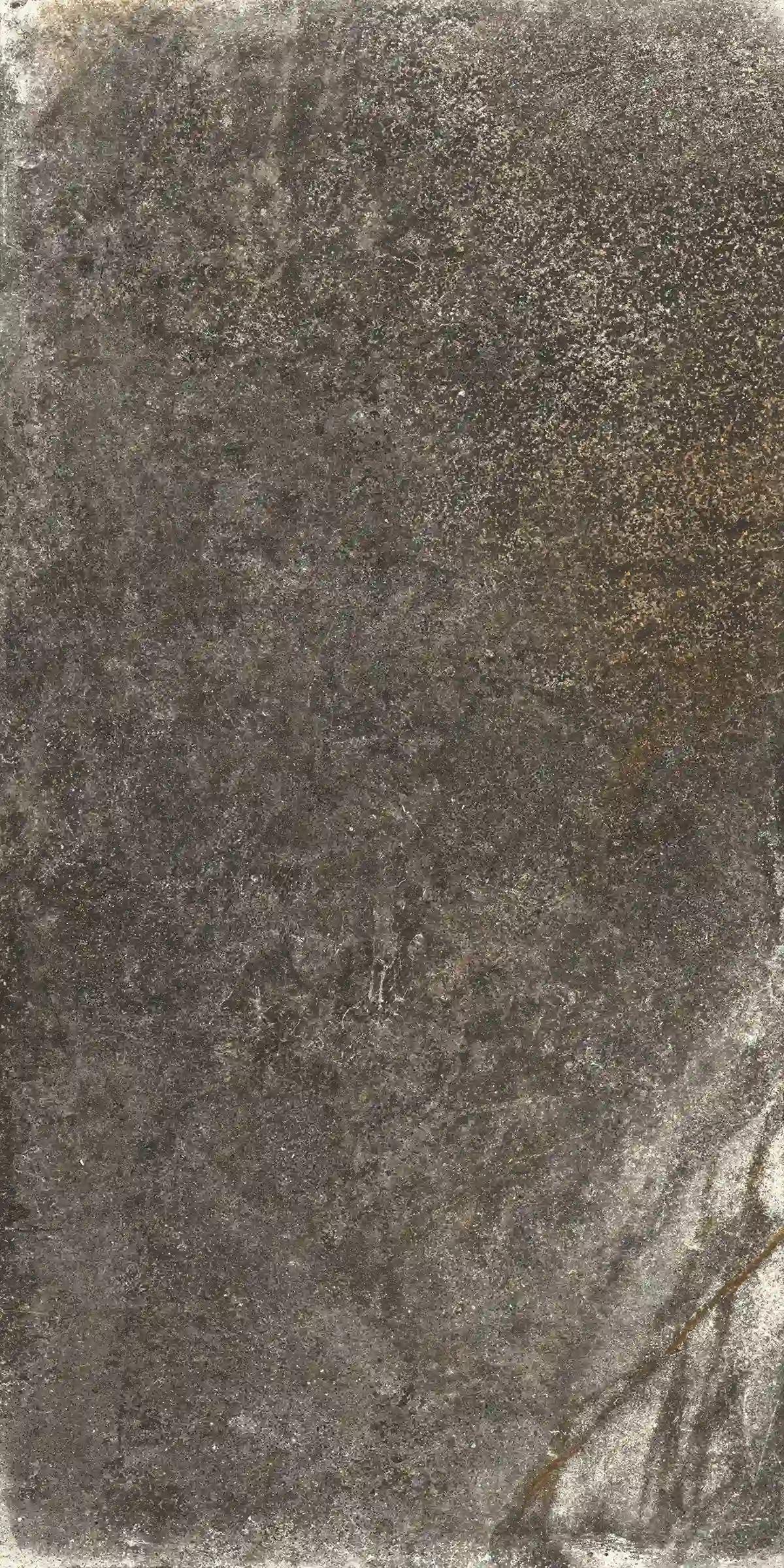 Jungle Stone Wild 60x120cm